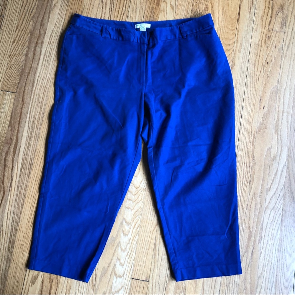 Ankle length dress pants